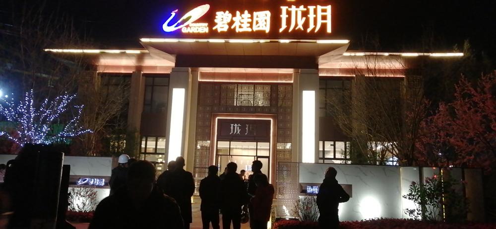 碧桂園弱電及售樓處亮化發光字項目