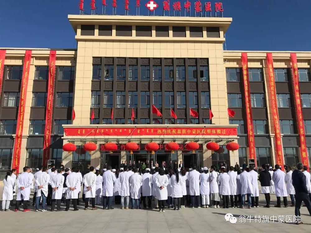 翁牛特旗中蒙醫院智能化工程